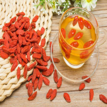 2019 dried Goji Berry organic Gojiberry bulk goji berries